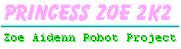 Zoe Aidenn Robot Project